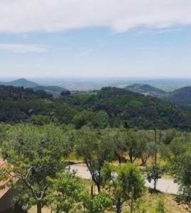 Agriturismo Il Bel Vedere