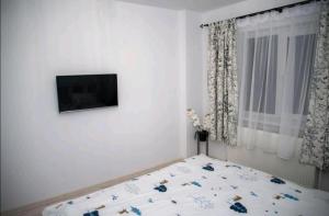 Apartament Daria