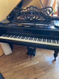 Willa nad jeziorem w Warszawie