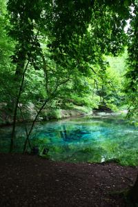 Hotels Logis La Source Bleue : photos des chambres