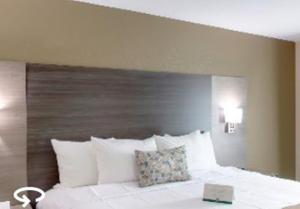King Room - Non-Smoking room in Quality Inn & Suites Roanoke - Fort Worth North