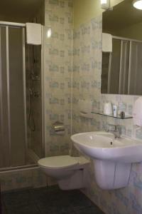Single Room room in Hotel Skaut