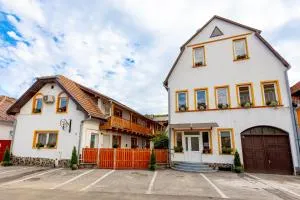 盆苏尼亚小丑旅馆 - Apold