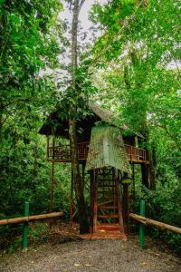 Tree Houses Hotel Costa Rica
