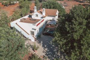 Monte 3 Alfarrobeiras