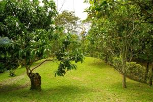 Eco Cabañas San Lorenzo