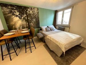 Appartements Selestat centre - Le classique - 5 personnes : photos des chambres