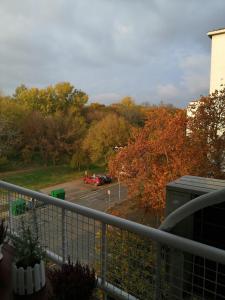 Star Apartment Belgrade