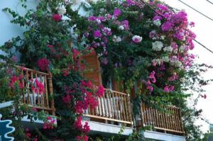 Arian Hotel Paros Greece