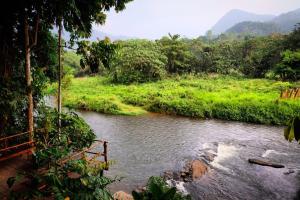 Borderlands Eco Lodge Kithulgala