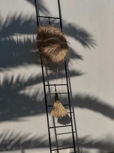 La brise de Carthage: Earthly paradise