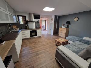Appartements Boost Your Immo Vars O Chalet Dana 801 : photos des chambres