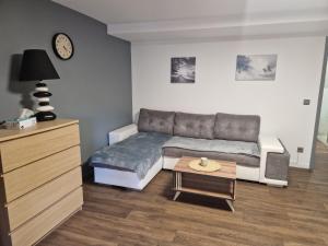 Appartements Boost Your Immo Vars O Chalet Dana 801 : photos des chambres