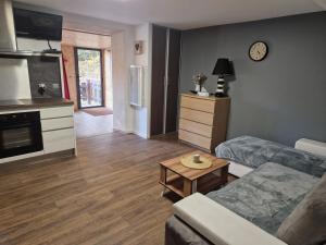 Appartements Boost Your Immo Vars O Chalet Dana 801 : photos des chambres