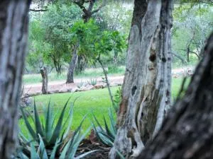 Chama Game Lodge - 马里兰