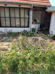 къща за гости Хайк