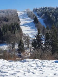 Appartements NATURE D'AUBRAC : photos des chambres