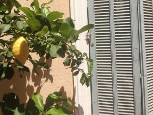 Hotels Chanteclair : photos des chambres