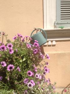 Hotels Chanteclair : photos des chambres