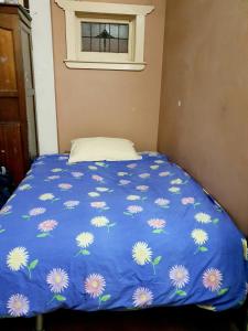 St Kilda East backpackers hostel