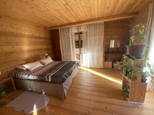 Appartements Chalet Miel de la Cayolle-Estenc : photos des chambres