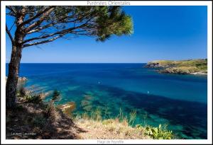 Villas Villa Alberes Sorede 7 km of beaches : photos des chambres