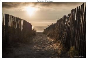 Villas Villa Alberes Sorede 7 km of beaches : photos des chambres