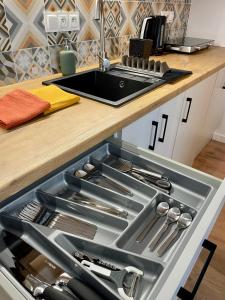 Przestronny apartament w centrum miasta