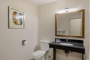 King Room with Sofabed and Roll-In Shower - Accessible/Non Smoking room in Fairfield Inn and Suites Mt. Laurel