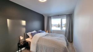 Staying Apt 5 - New and modern