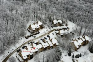 Okemo Trailside 22DL Shred Shack