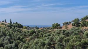 Casa Vistalegre Mijas by Ruralidays