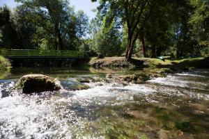 Campings Camping Le Douzou : photos des chambres