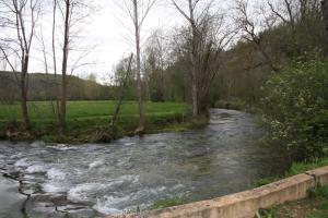 Campings Camping Le Douzou : photos des chambres