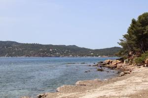 Appartements Studio l'Echappee mandreenne le calme entre mer et foret : photos des chambres