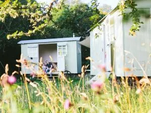 Snowdonia Shepherds' Huts - Yspytty-Ifan