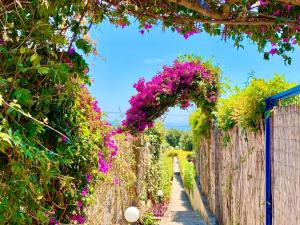 Villa Barbati Pelagos with private pool by DadoVillas