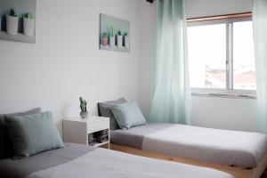 Baleal Surf Emotions