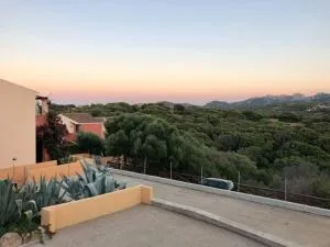 Turtle House - Barrabisa