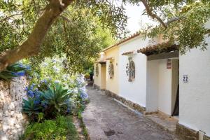 Moonkey - Halcón 23. Vistas al Cap de la Nao