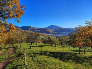 Maisons de vacances Gite a la Source : photos des chambres