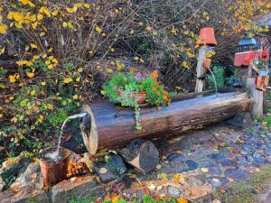 Maisons de vacances Gite a la Source : photos des chambres