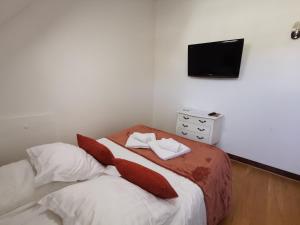 Hotels Hotel La Residence Manoir De La Salamandre : photos des chambres