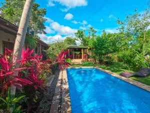 Kallpa B&B - Dibulla