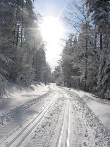 Ferienwohnungen Kricklsäge
