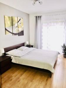 Apartament 2plus2