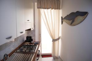 Il delfino holiday house