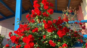 Costa do Vizir Beach Village