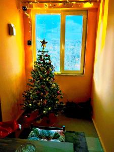 Chic& cosy house with Kars Panorama