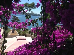 Apartments Ana Trogir